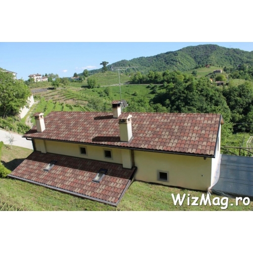 Sindrila bituminoasa Coppo