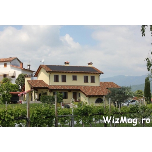 Sindrila bituminoasa Coppo